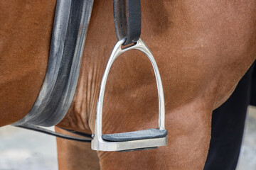 Horse bridles harness hanging