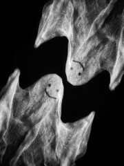 Two kind halloween ghosts on black background

