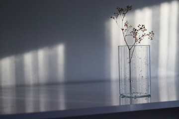 glass vase with water drops on it. glass vase and flower on the table. wet vase on white background. vase and flower on table