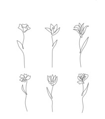 Set Flower graphics illustration icon sketch tattoo print black and white sketch