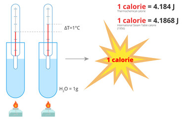 Calorie in joules diagram. Vector physics illustration of calorie. Calorie infographic.