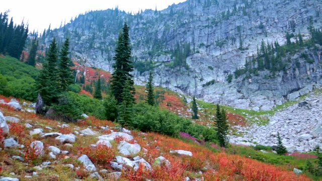 A landscape of rocky mountains and greenery near McCall, Idaho shot in HD