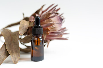organic essential oil acid serum bottle with pipette with decorative protea background with copy...