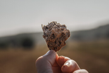 Stück Erde in der Hand