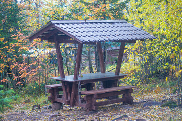 wooden pergola in the woods