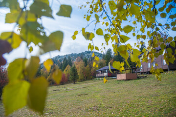 house in autumn forest