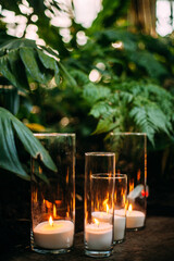 Candles in glass near large green tropical plants.