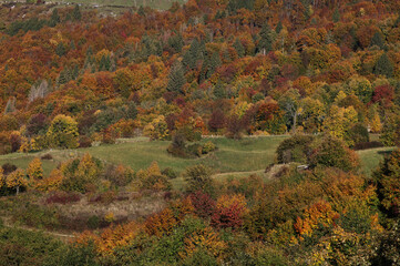 Autumn colors on the Asiago plateau, Veneto, Italy