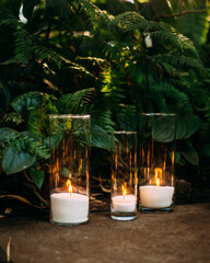 Candles in glass near large green tropical plants.