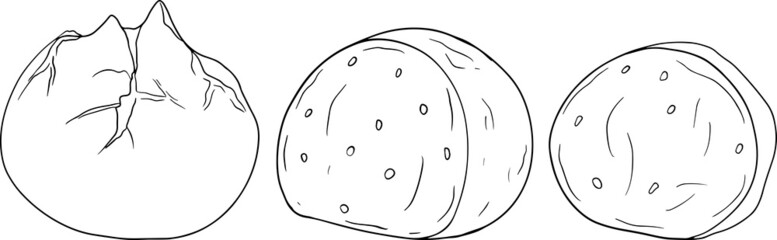 Mozzarella cheese ball, slice and pieces. Hand drawn colored sketch style drawing of traditional Italian cheese. Fresh soft cheese. Vector coloring pages.