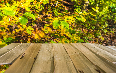 Simply wooden empty with lots of free space on the wooden table..Background with natural forest in autumnal nature.