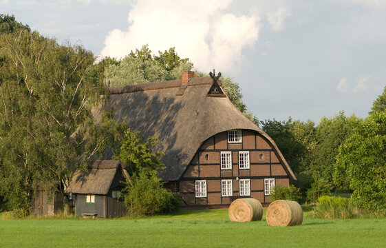  Idyllic farmhouse with a reed roof near Hamburg. Germany, Europe