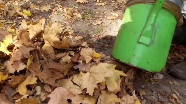 Workers in the fall in the city with an industrial vacuum cleaner collect thousands of leaves per minute
