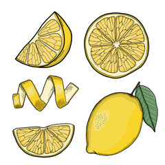 Lemon Hand Drawn Illustration Collection Isolated