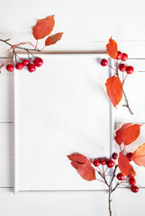 Autumn mock up template. Empty white frame and red wild Apple tree twigs on white wooden backdrop.