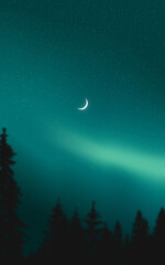 Starry green sky and forest silhouette. Vector illustration.