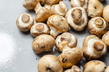 Raw and fresh mushrooms on a gray stone plate, vegetables from an organic farm