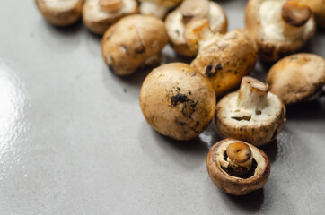Fototapeta na wymiar Raw and fresh mushrooms on a gray stone plate, vegetables from an organic farm