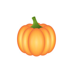 Pumpkin - a symbol of Halloween and Thanksgiving Day on a white background. Vector illustration..