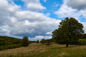 Almost autumn scenery with blue sky with clouds