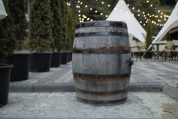 A wooden old barrel outdoor in street cafe. Green thuja in flowerpot in the street