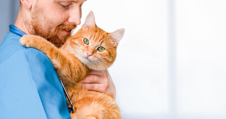 male veterinarian holding cat in his arms, animal care concept