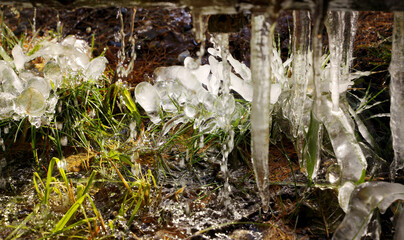 Icicles in the sunshine after a frosty night
