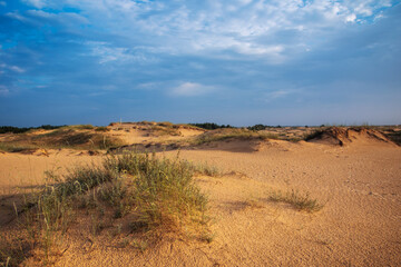 Fototapeta na wymiar desert landscape at sunrise. summer background