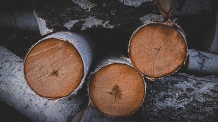 Birch, Woods, stack, wooden, nature, firewood, wood, tree, cut, natural, pile, trees, woodpile, fuel, texture, lumber