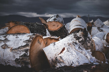 wood, nature, firewood, tree, camping, construction, birch, sky, dark, moody, cold, north