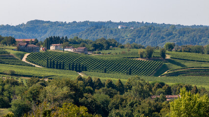 panorama of the vineyards on the Prosecco hills