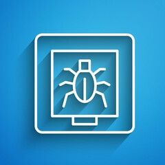 White line Insects in a frame icon isolated on blue background. Herbarium. Long shadow. Vector