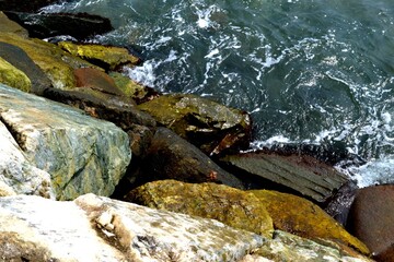 Between the sea and the rocks.