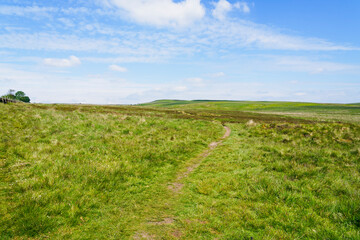 Indistinct narrow footpath crosses the Derbyshire moorland