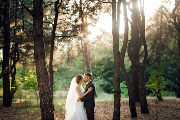 walk of the bride and groom through the autumn forest