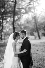 walk of the bride and groom through the autumn forest