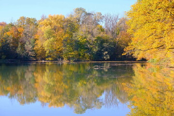 Herbst am Katzenbachsee