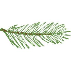 Hand Drawn Vector Evergreen Spruce or Pine Tree Branch Colorful Fir-needle Twig Sketch. Isolated
