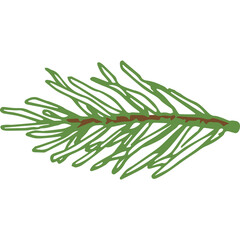 Hand Drawn Vector Evergreen Spruce or Pine Tree Branch Colorful Fir-needle Twig Sketch. Isolated