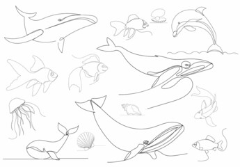 set of fish, whales continuous line vector, isolated