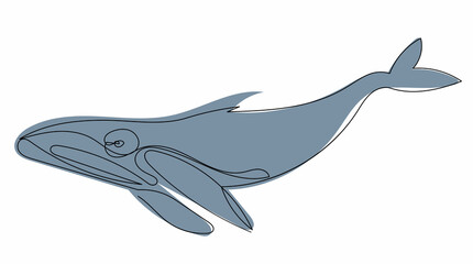 blue whale continuous line vector, isolated