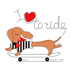 A dog rides a skateboard. A cartoon character in a flat style. Vector on an isolated background. Contour drawing with an inscription for a postcard poster, stickers.
