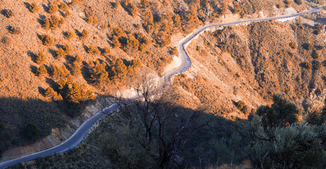 Carretera Otoñal