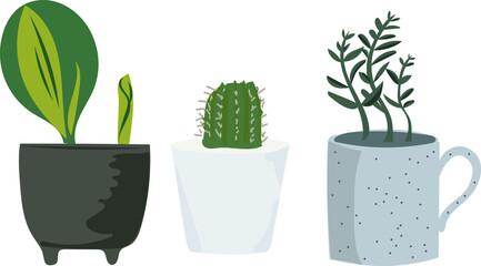 House plant vector clipart. Small funny cactus plants. Jade plant and bunny ear plant. Cute little hand drawn potted plant element.