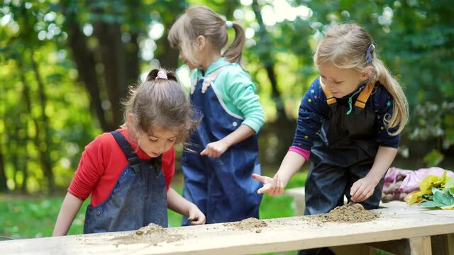 forest kindergarten. Happy Preschool or school group children play sculpt clay in swamp in park or forest. Outdoors small child have fun playing with mud. Summer Camp curious, kid leisure in nature