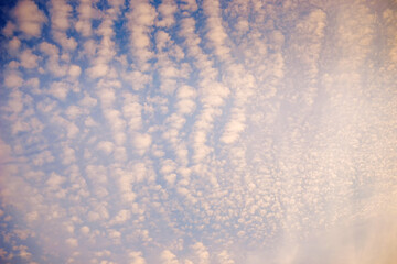cloudscape with altocumulus clouds at sunny day - obrazy, fototapety, plakaty