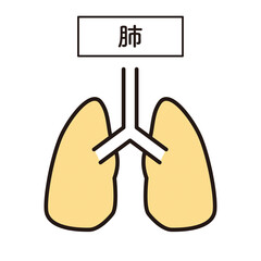 シンプル　イラスト　肺