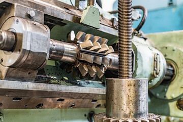 Worm cutter for the manufacture of gears on a gear cutting machine.