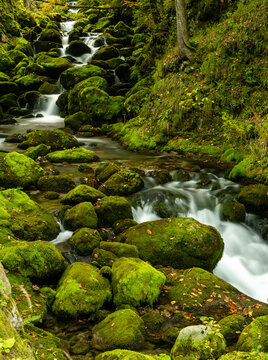 moss-covered boulders and small mountain creek in lush green forest