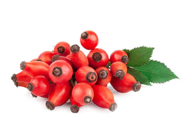 Rose hip isolated on a white background